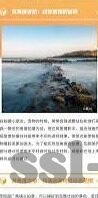 抢庄牛牛怎么玩儿规-抢庄牛牛，掌握策略与技巧，享受智慧博弈的乐趣