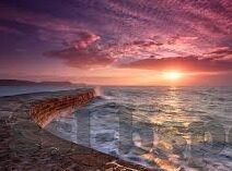 世界杯胜率预测丹麦-丹麦队世界杯胜率预测，北欧海盗的足球盛宴
