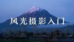 特色百家乐靠谱的地址-特色百家乐，寻找靠谱的娱乐新体验